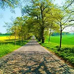 Moenchgut 1 Mit Wintergarten Und Terrasse 4*