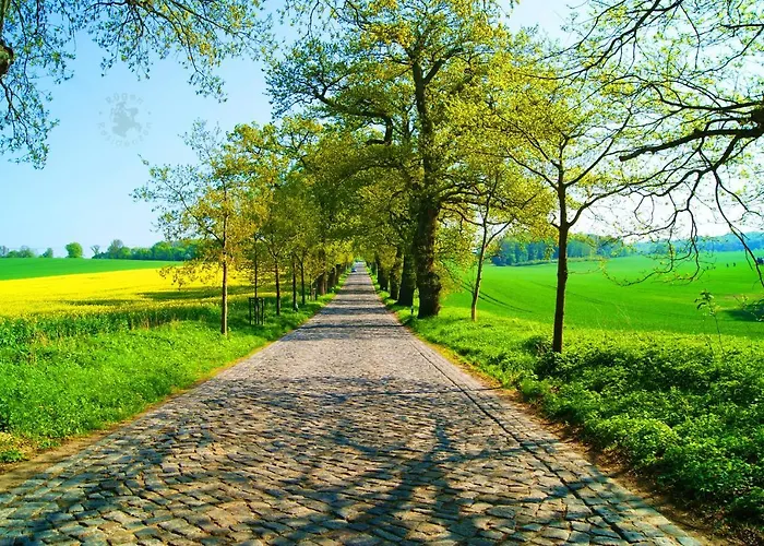 Mönchgut 1 Mit Wintergarten Und Terrasse 4*